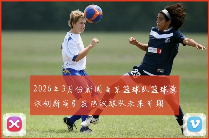 2026年3月份新闻南京篮球队篮球意识创新高引发热议球队未来可期
